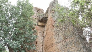 Sortie pedagogique au site antique tubusuptu tiklat au profit des etudiants L1 architecture 27 02 2022112