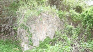 Sortie pedagogique au site antique tubusuptu tiklat au profit des etudiants L1 architecture 27 02 2022113