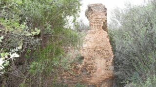 Sortie pedagogique au site antique tubusuptu tiklat au profit des etudiants L1 architecture 27 02 2022114