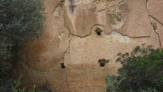 Sortie pedagogique au site antique tubusuptu tiklat au profit des etudiants L1 architecture 27 02 2022116