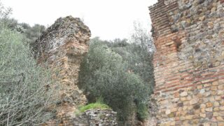 Sortie pedagogique au site antique tubusuptu tiklat au profit des etudiants L1 architecture 27 02 2022119