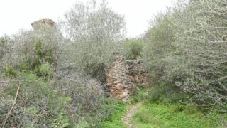 Sortie pedagogique au site antique tubusuptu tiklat au profit des etudiants L1 architecture 27 02 2022120