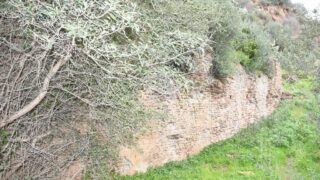 Sortie pedagogique au site antique tubusuptu tiklat au profit des etudiants L1 architecture 27 02 2022121