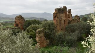 Sortie pedagogique au site antique tubusuptu tiklat au profit des etudiants L1 architecture 27 02 2022123