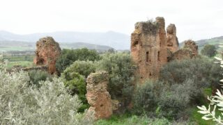 Sortie pedagogique au site antique tubusuptu tiklat au profit des etudiants L1 architecture 27 02 2022124