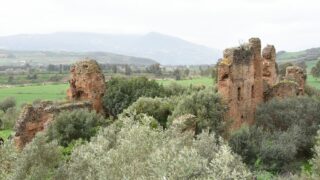 Sortie pedagogique au site antique tubusuptu tiklat au profit des etudiants L1 architecture 27 02 2022125