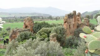 Sortie pedagogique au site antique tubusuptu tiklat au profit des etudiants L1 architecture 27 02 2022126