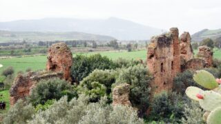 Sortie pedagogique au site antique tubusuptu tiklat au profit des etudiants L1 architecture 27 02 2022127