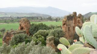 Sortie pedagogique au site antique tubusuptu tiklat au profit des etudiants L1 architecture 27 02 2022128