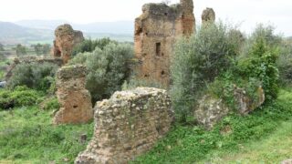 Sortie pedagogique au site antique tubusuptu tiklat au profit des etudiants L1 architecture 27 02 2022129