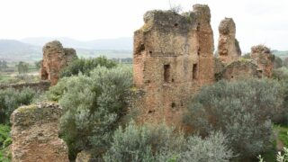 Sortie pedagogique au site antique tubusuptu tiklat au profit des etudiants L1 architecture 27 02 2022130