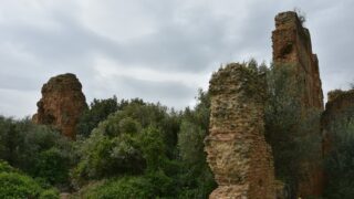 Sortie pedagogique au site antique tubusuptu tiklat au profit des etudiants L1 architecture 27 02 2022131