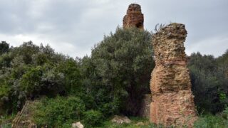 Sortie pedagogique au site antique tubusuptu tiklat au profit des etudiants L1 architecture 27 02 2022132