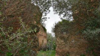 Sortie pedagogique au site antique tubusuptu tiklat au profit des etudiants L1 architecture 27 02 2022133