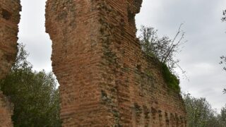 Sortie pedagogique au site antique tubusuptu tiklat au profit des etudiants L1 architecture 27 02 2022134