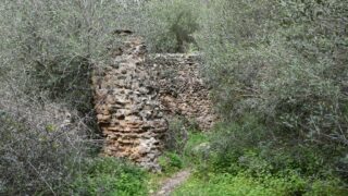 Sortie pedagogique au site antique tubusuptu tiklat au profit des etudiants L1 architecture 27 02 2022135