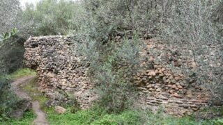 Sortie pedagogique au site antique tubusuptu tiklat au profit des etudiants L1 architecture 27 02 2022136