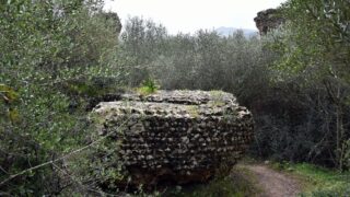 Sortie pedagogique au site antique tubusuptu tiklat au profit des etudiants L1 architecture 27 02 2022137