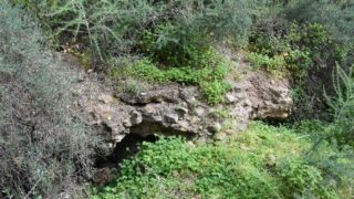 Sortie pedagogique au site antique tubusuptu tiklat au profit des etudiants L1 architecture 27 02 2022138