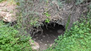 Sortie pedagogique au site antique tubusuptu tiklat au profit des etudiants L1 architecture 27 02 2022139