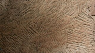 Sortie pedagogique au site antique tubusuptu tiklat au profit des etudiants L1 architecture 27 02 2022141