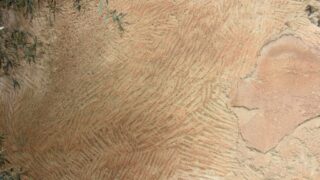 Sortie pedagogique au site antique tubusuptu tiklat au profit des etudiants L1 architecture 27 02 2022142