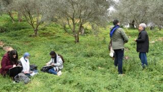 Sortie pedagogique au site antique tubusuptu tiklat au profit des etudiants L1 architecture 27 02 2022190