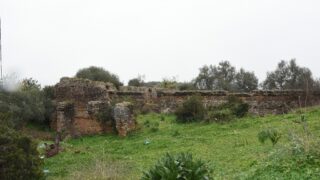 Sortie pedagogique au site antique tubusuptu tiklat au profit des etudiants L1 architecture 27 02 2022228