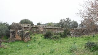 Sortie pedagogique au site antique tubusuptu tiklat au profit des etudiants L1 architecture 27 02 2022229