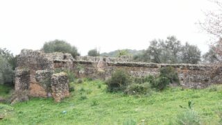 Sortie pedagogique au site antique tubusuptu tiklat au profit des etudiants L1 architecture 27 02 2022230