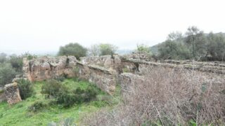 Sortie pedagogique au site antique tubusuptu tiklat au profit des etudiants L1 architecture 27 02 2022231