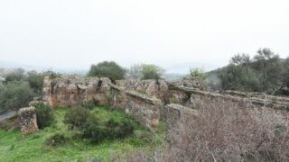 Sortie pedagogique au site antique tubusuptu tiklat au profit des etudiants L1 architecture 27 02 2022232