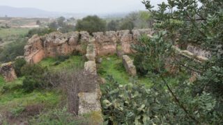 Sortie pedagogique au site antique tubusuptu tiklat au profit des etudiants L1 architecture 27 02 2022233