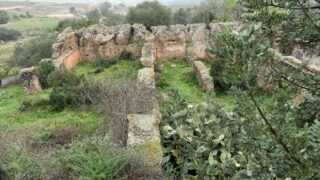 Sortie pedagogique au site antique tubusuptu tiklat au profit des etudiants L1 architecture 27 02 2022234