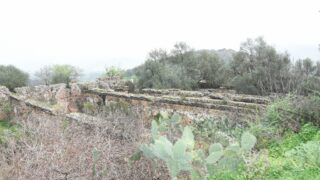 Sortie pedagogique au site antique tubusuptu tiklat au profit des etudiants L1 architecture 27 02 2022235