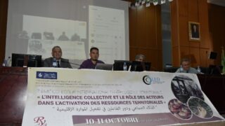 2 eme colloque international d intelligence territoriale l intelligence collective et le role des acteurs dans l activation de 03