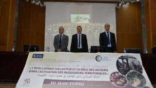 2 eme colloque international d intelligence territoriale l intelligence collective et le role des acteurs dans l activation de 09