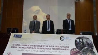 2 eme colloque international d intelligence territoriale l intelligence collective et le role des acteurs dans l activation de 10