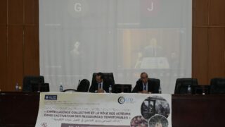 2 eme colloque international d intelligence territoriale l intelligence collective et le role des acteurs dans l activation de 49