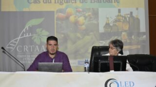 2 eme colloque international d intelligence territoriale l intelligence collective et le role des acteurs dans l activation de 74