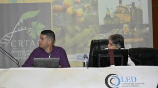 2 eme colloque international d intelligence territoriale l intelligence collective et le role des acteurs dans l activation de 75