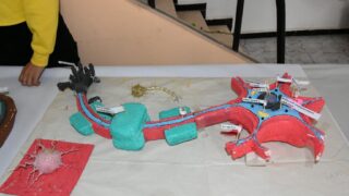 Les 5 eme journee des Sciences de la Nature et de la Vie 06 12 2022016