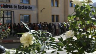 Projet jardin botanique de l universite departement architecture 06 11 2022016