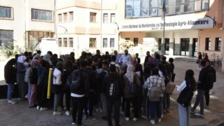 Projet jardin botanique de l universite departement architecture 06 11 2022031