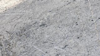 Projet jardin botanique de l universite departement architecture 06 11 2022111