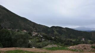 Sortie pedagogique au site patrimoniale Ibarissen au profit des etudiants du palier licence 1 Architecture le 07 mars 2023007 1