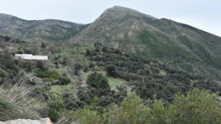 Sortie pedagogique au site patrimoniale Ibarissen au profit des etudiants du palier licence 1 Architecture le 07 mars 2023036 1