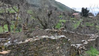 Sortie pedagogique au site patrimoniale Ibarissen au profit des etudiants du palier licence 1 Architecture le 07 mars 2023052 1