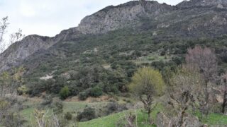 Sortie pedagogique au site patrimoniale Ibarissen au profit des etudiants du palier licence 1 Architecture le 07 mars 2023087 1