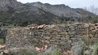 Sortie pedagogique au site patrimoniale Ibarissen au profit des etudiants du palier licence 1 Architecture le 07 mars 2023132 1